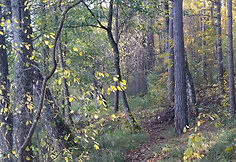 Ignalina
