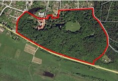 Parko planas i&scaron; dendrologinių tyrimų iliustruoja, kaip teritorija tarp pilies ir kelio buvo tankiai priaugusi medžių.