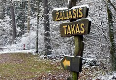 Žaliasis takas