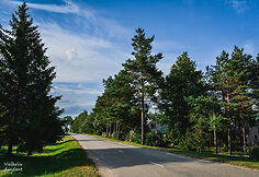 Būdviečiai (Vilkavi&scaron;kio r.)