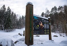 Saidės pažintinis takas