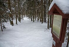 Liepijų pėsčiųjų trasa