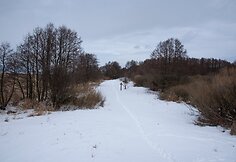 Kintų girininkijos pažintinis takas