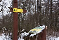 Kintų girininkijos pažintinis takas