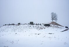 Jurakalnio geologinis pažintinis takas