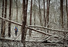 Žygis palei Vilniaus sienas