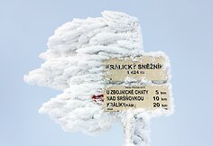 Sniežniko masyvas Rytų Sudetuose