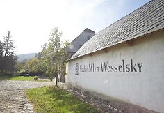 Ml&yacute;n wesselsky 