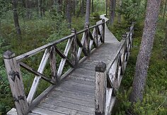 HBH Pelkių takas