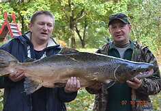 Vilniuje sužvejota 15 kg la&scaron;i&scaron;a