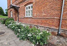Muziejaus darbuotojai į dvaro parką, prie i&scaron;likusių pastatų sugrąžina gėlynus