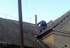 Nuo mokesčių inspektorių sprunkantis įmonės vadovas