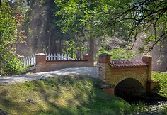 Daugyvenės kultūros istorijos muziejus-draustinis (Radvili&scaron;kio r.)