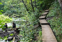 Dūk&scaron;tos pažintinis takas