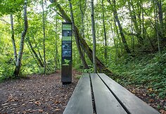 Dūk&scaron;tos pažintinis takas