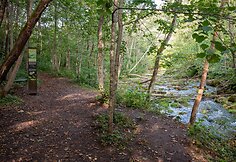 Dūk&scaron;tos pažintinis takas