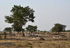 Mundari genties stovykla