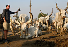 Mundari genties stovykla