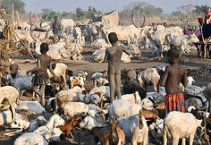 Mundari genties stovykla
