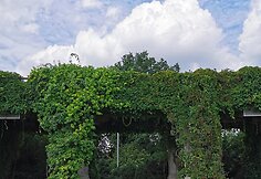 Kelionė i&scaron; Zakopanės į Vilnių
