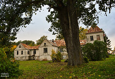 Vladiki&scaron;kių (Stasiūnų) dvaro rūmai (Kai&scaron;iadorių r.)