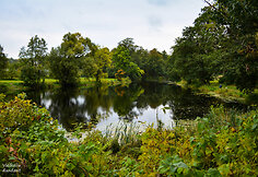 Vladiki&scaron;kių (Stasiūnų) dvaro tvenkinys (Kai&scaron;iadorių r.)