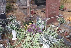 F. M. Cataluccio aplankė Semeni&scaron;kių kaimo kapinaites (Biržų raj.) kur palaidotas J. Mekas