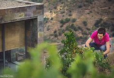 Bodega Bentomiz 