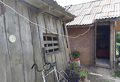 Stirnų knygos