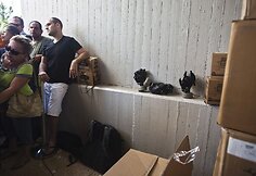 Izraelyje dalijamos dujokaukės
