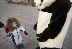 Panda dalina apkabinimus