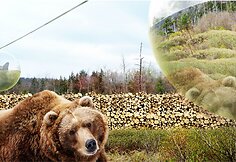 „Zootopija“ Danijoje
