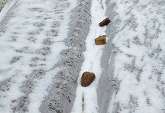 Audringas pavasaris Trakų r.