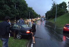 Liūtis Vilniuje