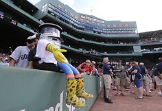 „Hitchbot“