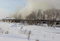 Rusijoje iš gaisro gelbėjami paršiukai