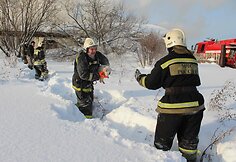 Rusijoje iš gaisro gelbėjami paršiukai