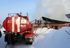 Rusijoje iš gaisro gelbėjami paršiukai