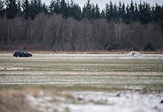 Danijoje paauglys rado Antrojo pasaulinio karo lėktuvo liekanas