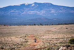 &bdquo;Suzuki DR650&ldquo; motociklu &ndash; po Arizoną ir Niujorką