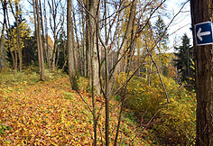 Grabijolų pažintinis takas