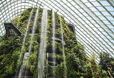 „Gardens by the Bay“