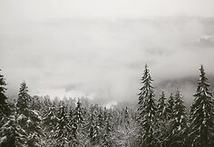 Kelionė traukiniu iš Lindau į Vieną