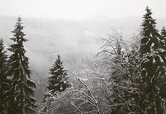 Kelionė traukiniu iš Lindau į Vieną