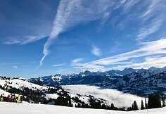 Alpės