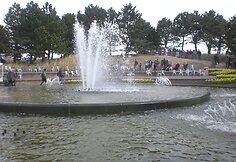 Keukenhofas