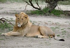 Tanzanija