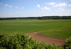 Sūriškiai