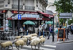 Avys Aubervilliers rajone