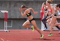 Lina Grinčikaitė